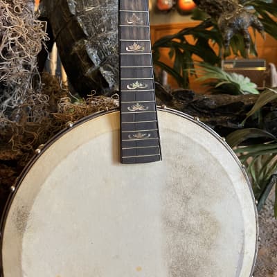 Orpheum No. 1 Mandolin Banjo Project with Original Hard Case image 2