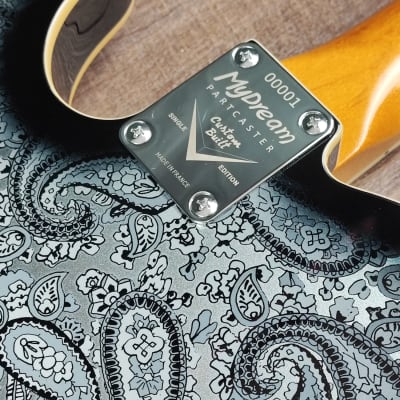 MyDream Partcaster Custom Built - Black Paisley Thinline Dreamsongs Freeway image 11