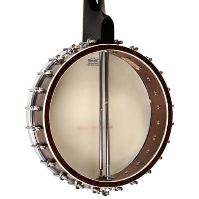 Gold Tone Model WL-250 White Ladye 5-String Open Back Banjo with Hard Case image 4