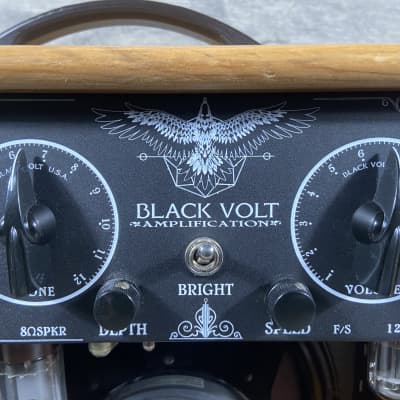 Black Volt 1x10 Trem-O-Hawk 1st Run Prototype Serial #01 image 10