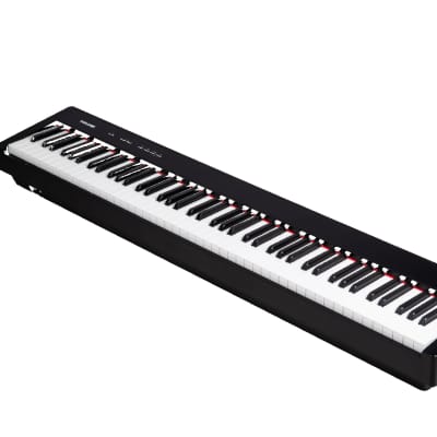 NUX NPK-10 Portable Digital Piano- Black image 2