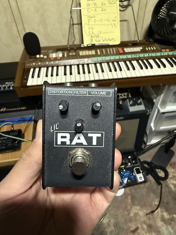 ProCo Lil Rat