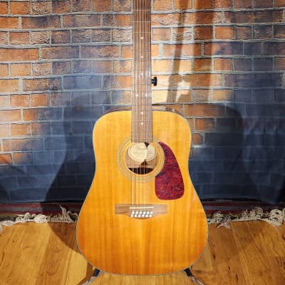 Fender DG-14S/12 12-String Acoustic Natural New Strings image 1