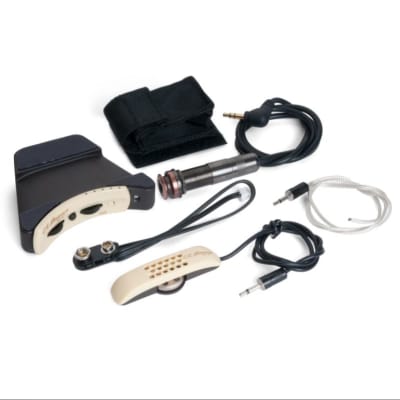 LR Baggs Anthem TRU-Mic & element pickup mixing system acoustic guitar pickup + microphone image 1