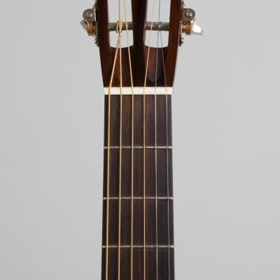 Collings DS2H-ASB Owned and played by Adam Levy Flat Top Acoustic Guitar (2022), ser. #32746, green molded Calton hard shell case. image 6