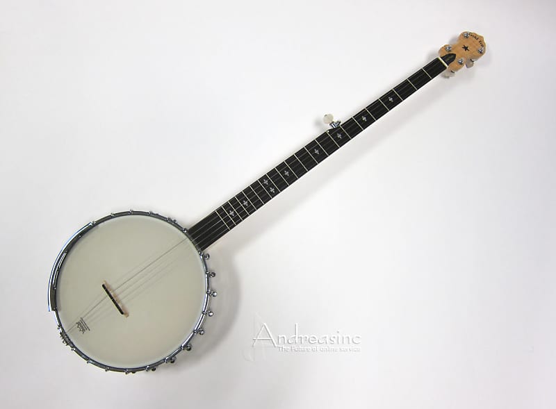 Gold Tone 5-String Long Neck Banjo w/ Case image 1