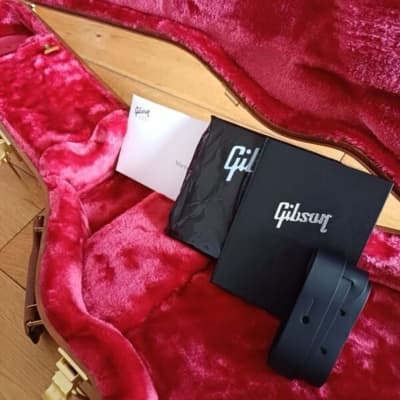 Gibson Les Paul Junior 2023 - Gilded Emerald image 7