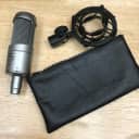 Audio-Technica AT3035 Large Diaphragm Cardioid Condenser Microphone Silver