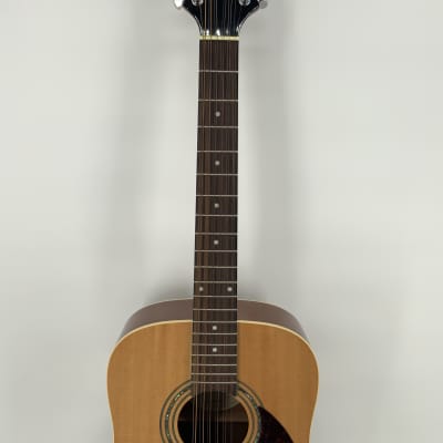 Samick Greg Benett Design 12 String Acoustic Guitar Model D-2-12 image 5