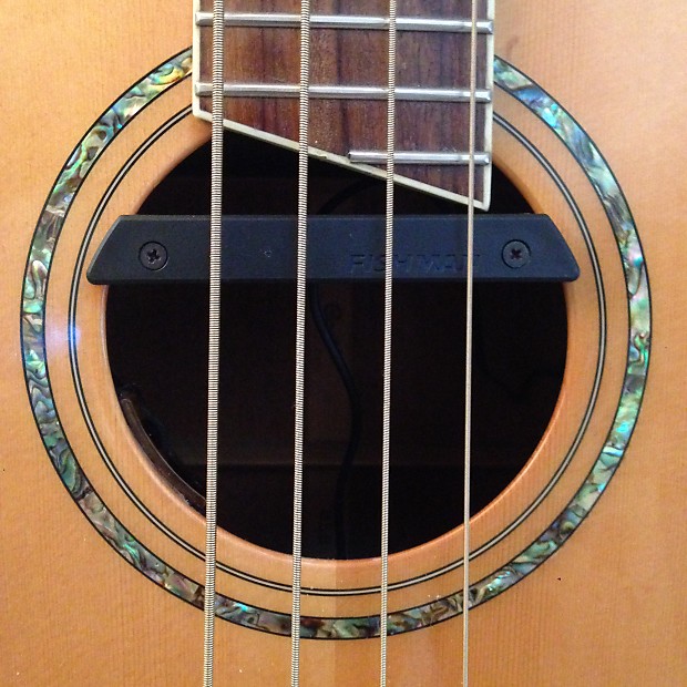 Acoustic bass guitar clearance pickup