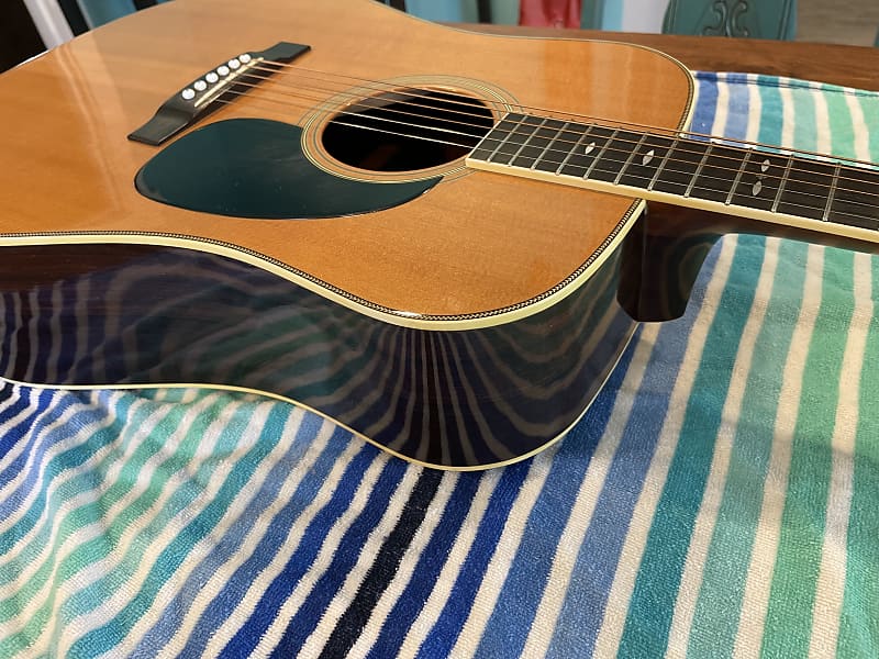 Tokai Cat's Eyes 1980 CE1000 ☆ Player's Condition Special