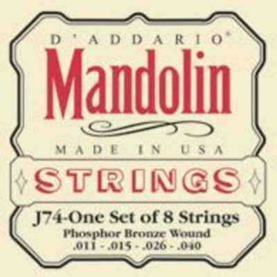 Daddario J 74 Muta Mandolino for sale