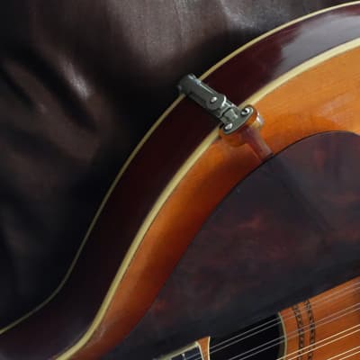 Gibson 1913 A3 Mandolin image 6