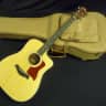 Taylor 210ce  Natural, Spruce + Rosewood, Cutaway, ES-T, Case, NEW!