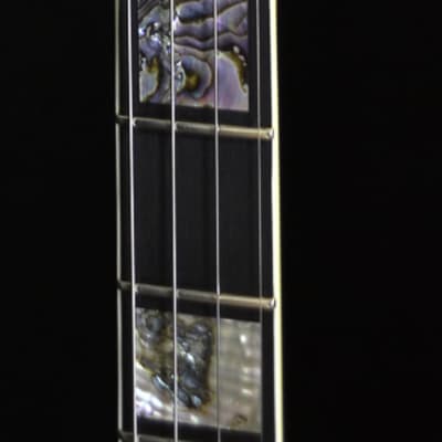 SOLD! - OME Custom Juggernaught Plectrum Banjo image 8