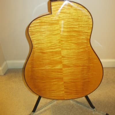 McGill Custom Resonator Guitar image 8
