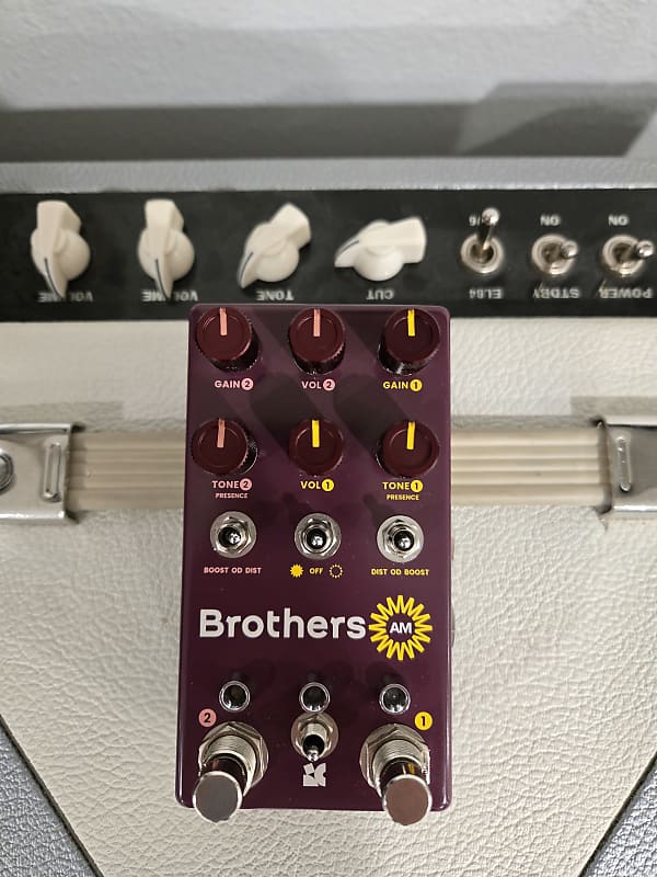 Chase Bliss Audio Brothers AM
