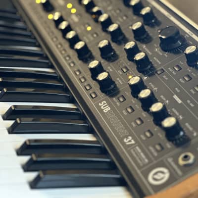 Moog Subsequent 37 Analog Synth