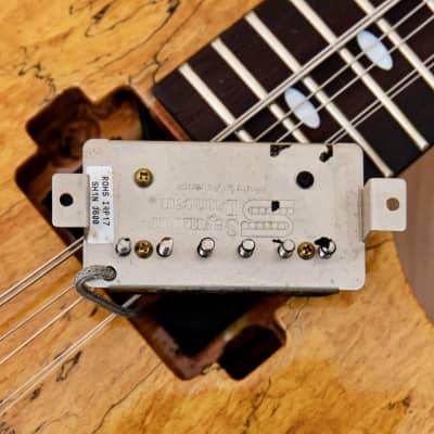 Aria ProⅡ MOD 2005 Aria Pro II PE-Spalted Super Grade Series Electric