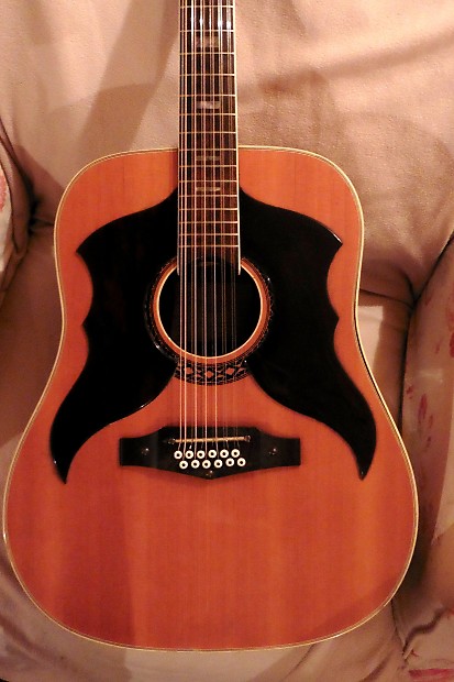 ♫ Vintage 1974 Eko Ranger XII (12 string) - Professional