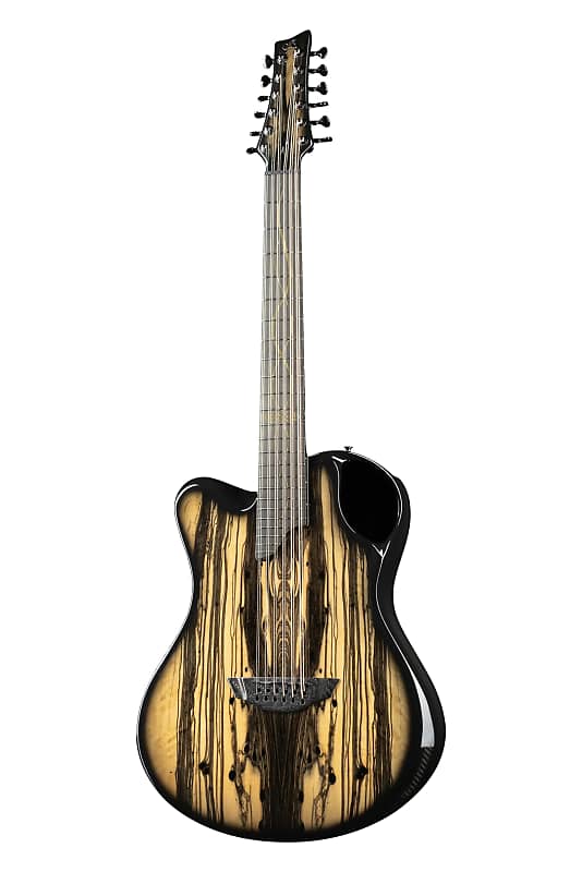 X2012 String Carbon Fiber 12string acoustic guitar, Reverb