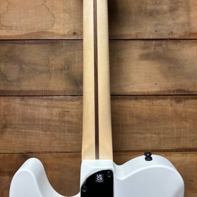 Demo * Fender Jim Root Signature Telecaster - Flat White w