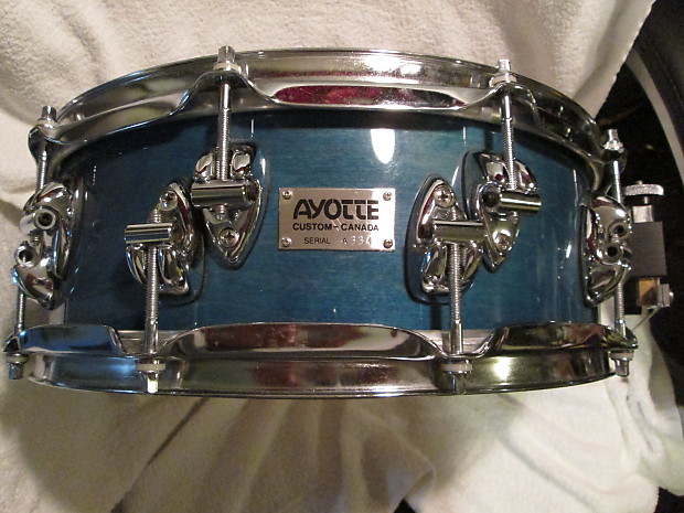 Ayotte 14x5 Maple Snare drum Blue stained Lacquer