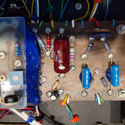 Dumble Overdrive Special with travel case image 12