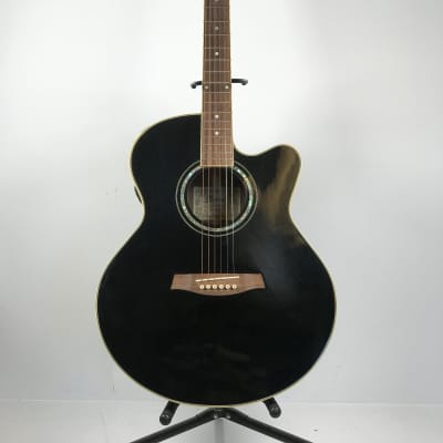 Ibanez Acoustic Electric AEL 10-BK-14-01 Guitar image 1