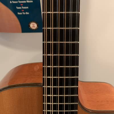 Taylor Leo Kottke Signature Model  LKSM-12 image 5