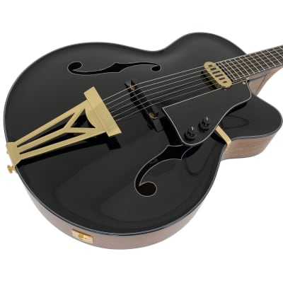 Alexander Polyakov Instruments Archtop guitar #14 Blacktop 2023 - Gloss for sale