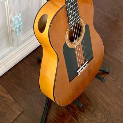 Darren Hippner Especial Barbero Flamenco Guitar Blanca 2023 Free Spanish Cejilla image 10