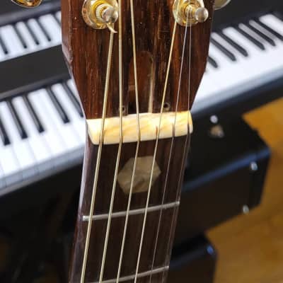 Tokai Model 35 1970s Vintage Dreadnought Cedar Top Acoustic Guitar Made In Japan image 8