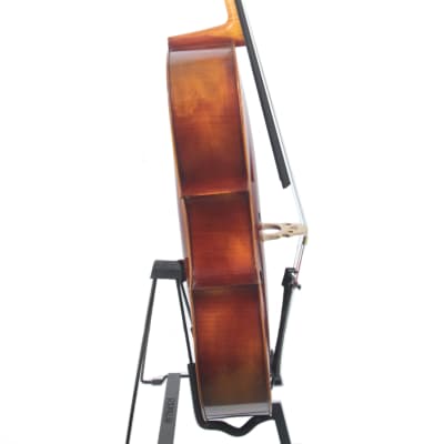 Cello, 1950 Labeled, Roderich Paesold, Meisterwerkstatt in Baiersdorf, PA605 Davidov 4/4 K12 1950 image 3