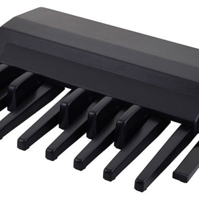 Ketron K8 Dynamic MIDI Pedal image 8