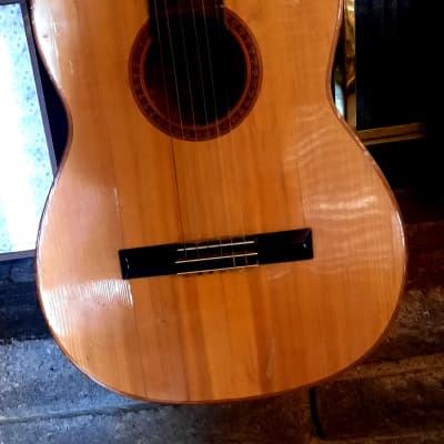 GIANNINI GN-60 CLASSICAL-FOLK 1960’s-NATURAL WOODS, NEEDS TLC AND EXPERT LUTHIER'S HANDS image 6