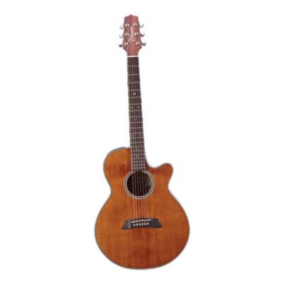 TAKAMINE、アコースティック！ビンテージ… 61SbM1zSVxL._AC_SY200_QL15_.jpg