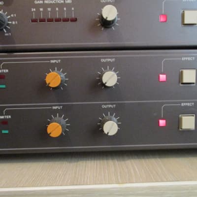 Vintage TASCAM RS 20B- dual spring reverb - pro serviced