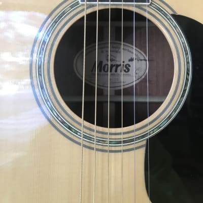 Morris W-25 | Reverb