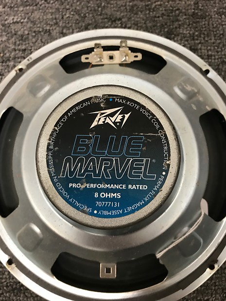 Peavey blue marvel 10 speaker top