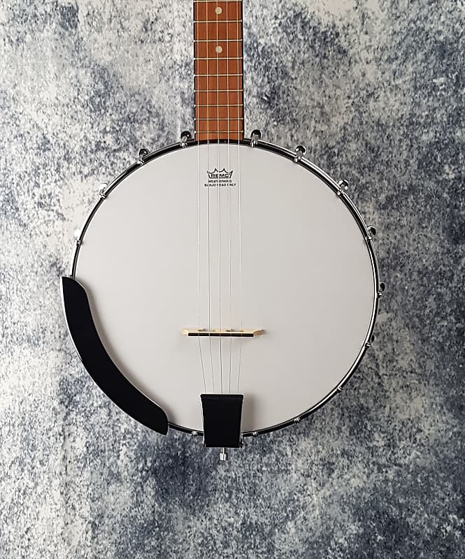 Epiphone MB-100 5-String Open-Back Banjo - Re-Sale (Great Condition) image 1