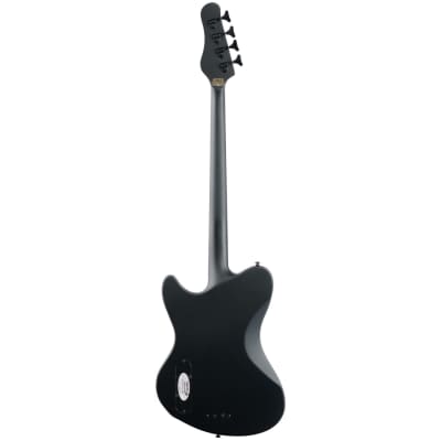 Schecter Diamond Series Ultra Bass | Reverb