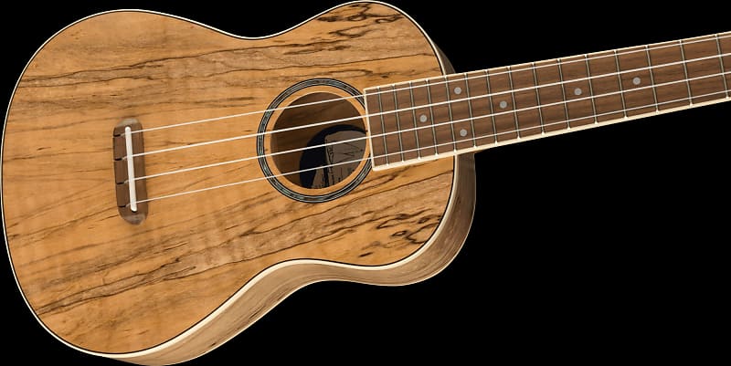 Fender Zuma Exotic Concert Ukulele - Spalted Maple