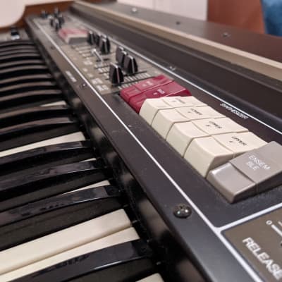 Roland RS-505 Paraphonic 49-Key Synthesizer 1970s Black image 4