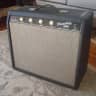 Vintage and serviced: 1964 Fender Princeton 6G2 Amp Amplifier w/ Reverend All-tone Speaker & orginal