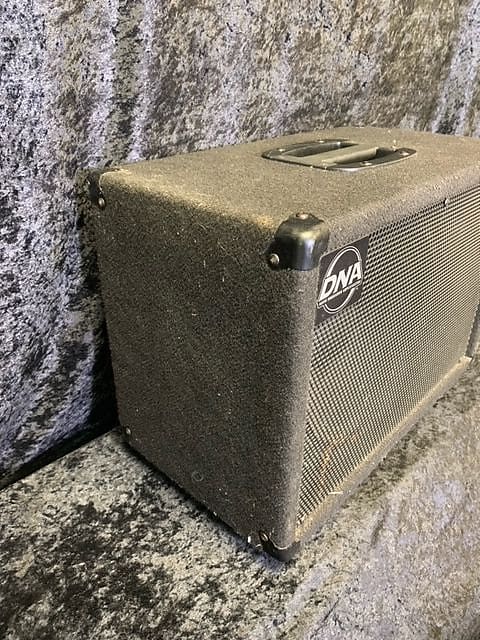 DNA DNS-110 ベースキャビネット DNS 112nm Bass Cabinet (Nashville, Tennessee) | Reverb