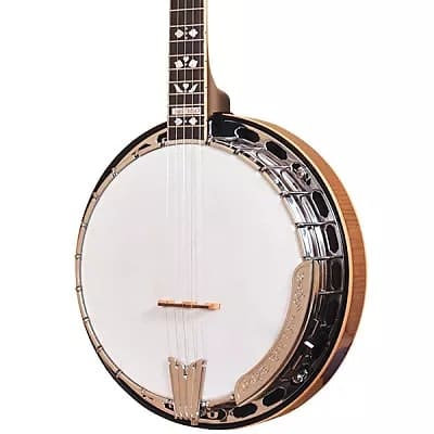 Gold Tone OB-250/L Professional Orange Blossom 5-String Bluegrass Banjo w/Hard Case For Lefty Player image 2