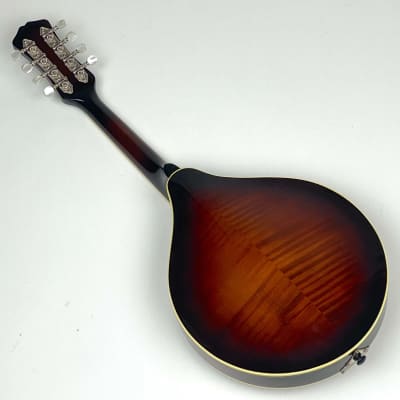 Weber "A-Style" Mandolin Absaroka Custom ordered W OHSC image 9