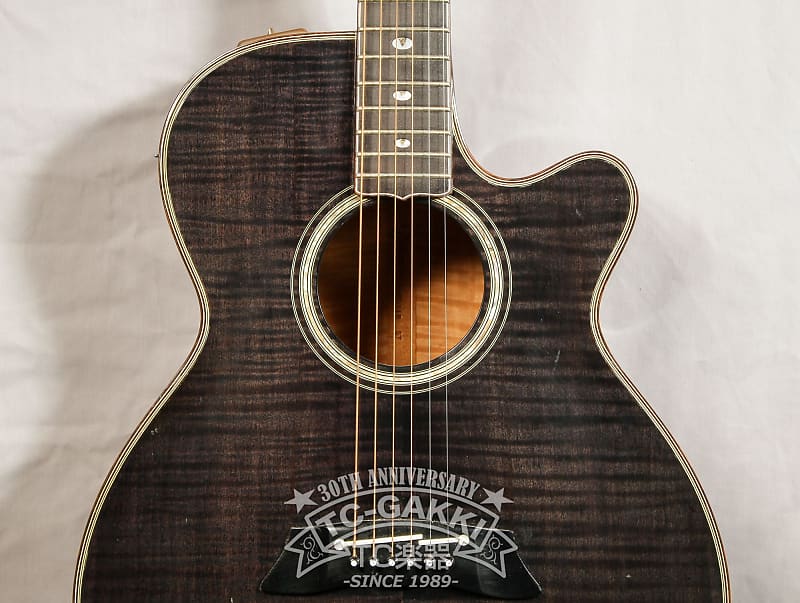 Takamine 1984 PT-118 | Reverb