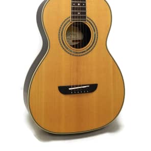 Washburn wp11sns parlor series acoustic guitar cheap